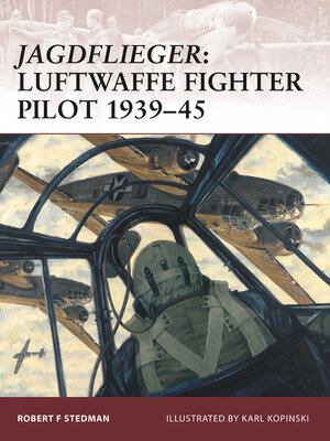 cover image of Jagdflieger